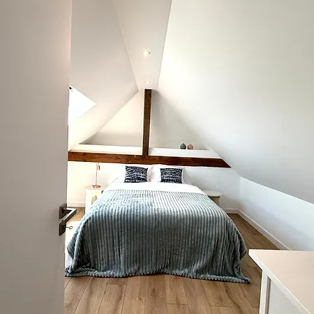 Lejlighed M112 Superbe T4 Spacieux Avec Balcon, Proche De Geneve Gaillard